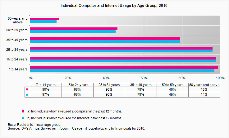 Individual Computer and Internet Access in the past 12 months, by age groups (2010)